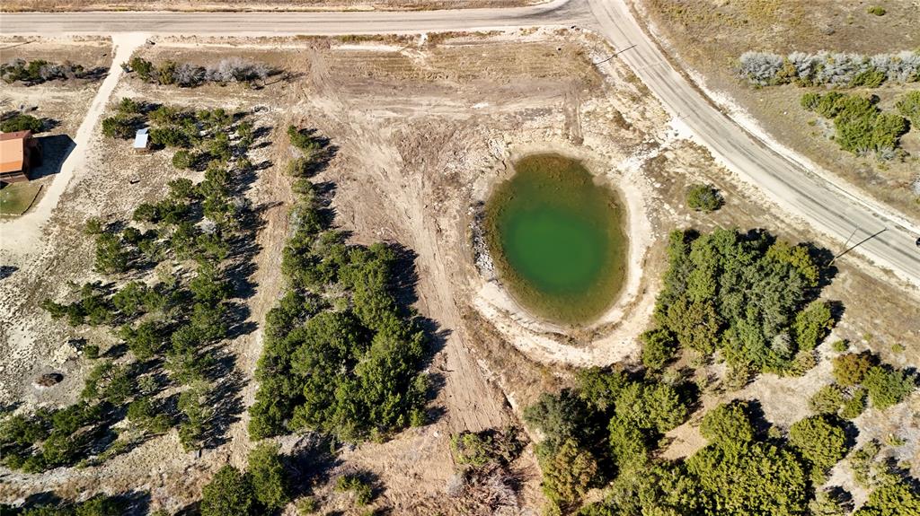 0 Bison Ridge Stephenville, TX 76401 - Photo 7 of 9 view of a house with a yard and plants
