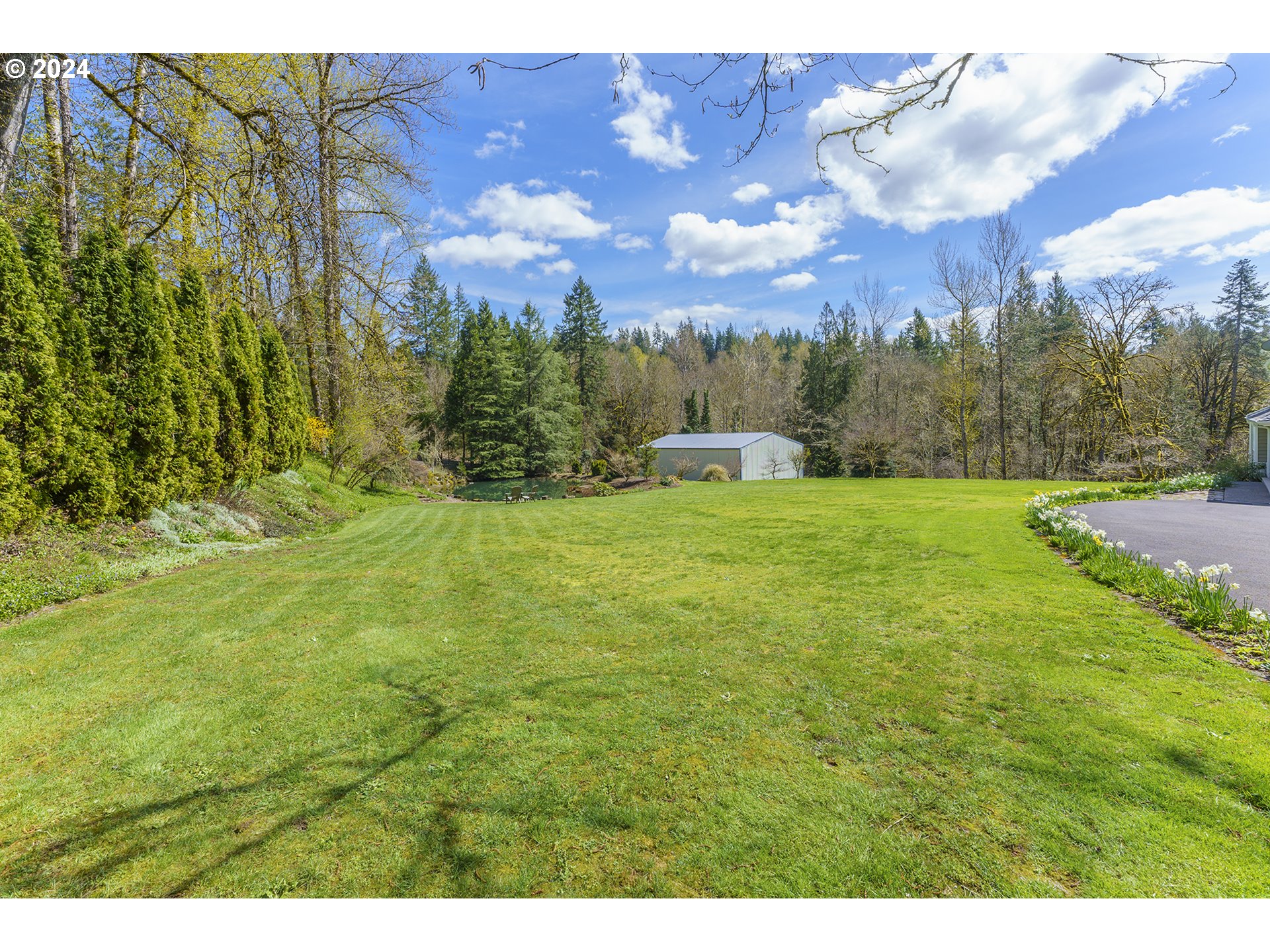 28028 Southeast Knox Road Boring, OR 97009 - Photo 5 of 48 a view of a big yard with swimming pool and large trees