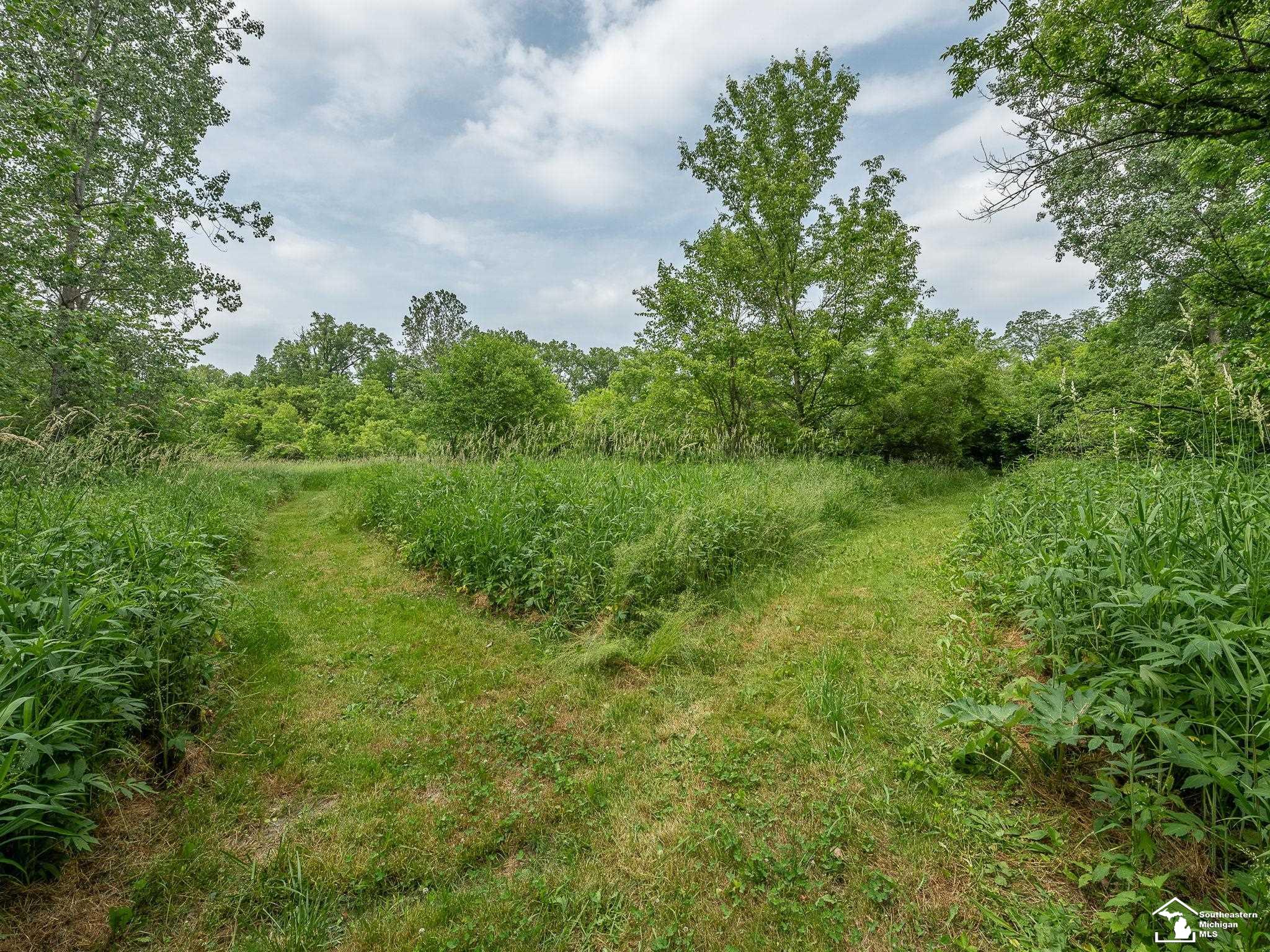 13999 Rightmire Road Dundee, MI 48131 - Photo 41 of 41
