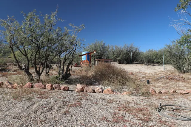 a view of a dry yard with trees