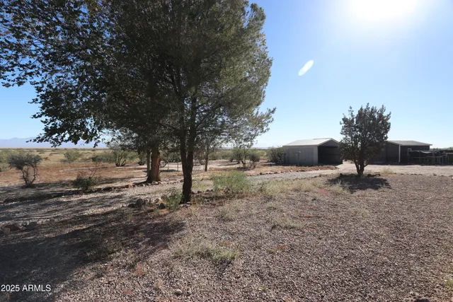 a view of dirt yard with a tree