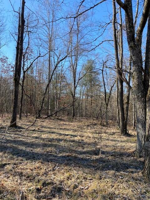 142 Cole Road Deer Lodge, TN 37726 - Photo 66 of 77 20220322195800043310000000-o