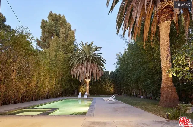 a palm tree sitting in front of a house with a yard
