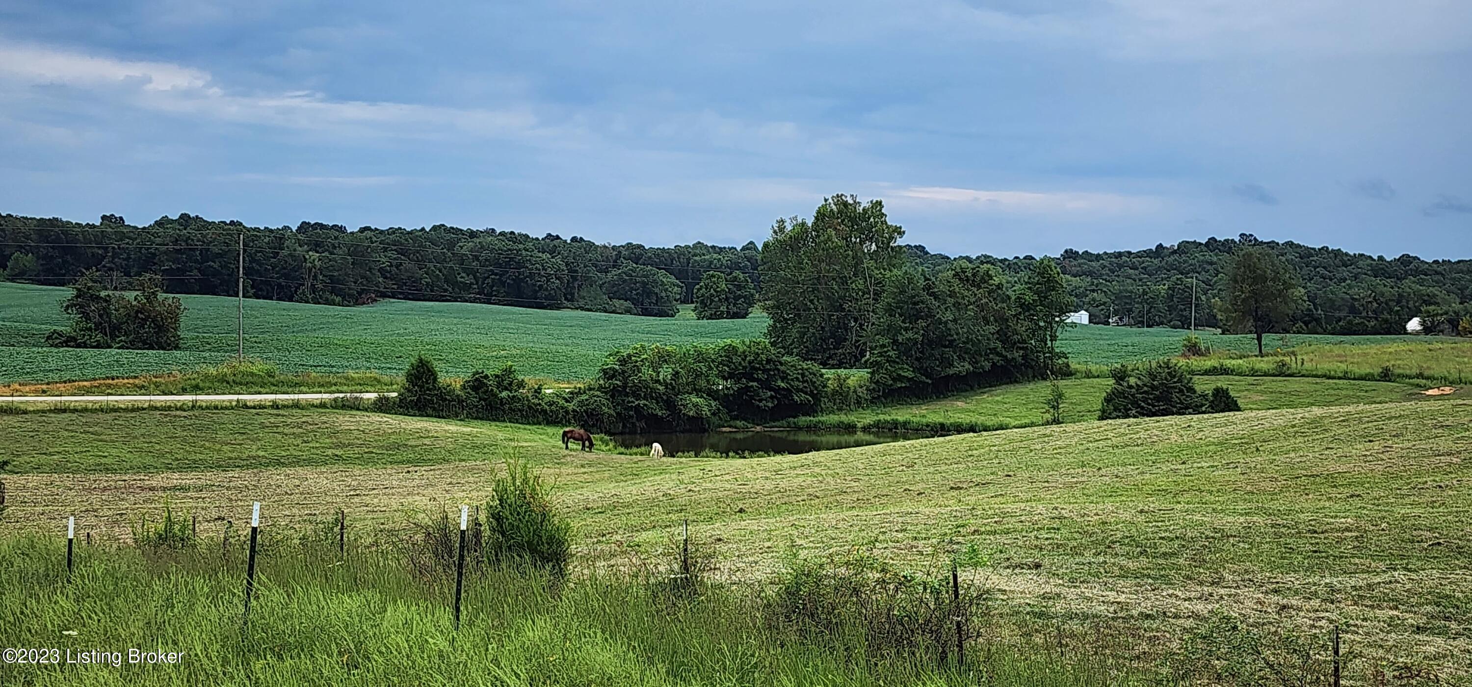 1640 Miller Road Guston, KY 40142 - Photo 27 of 32 20230906_111836