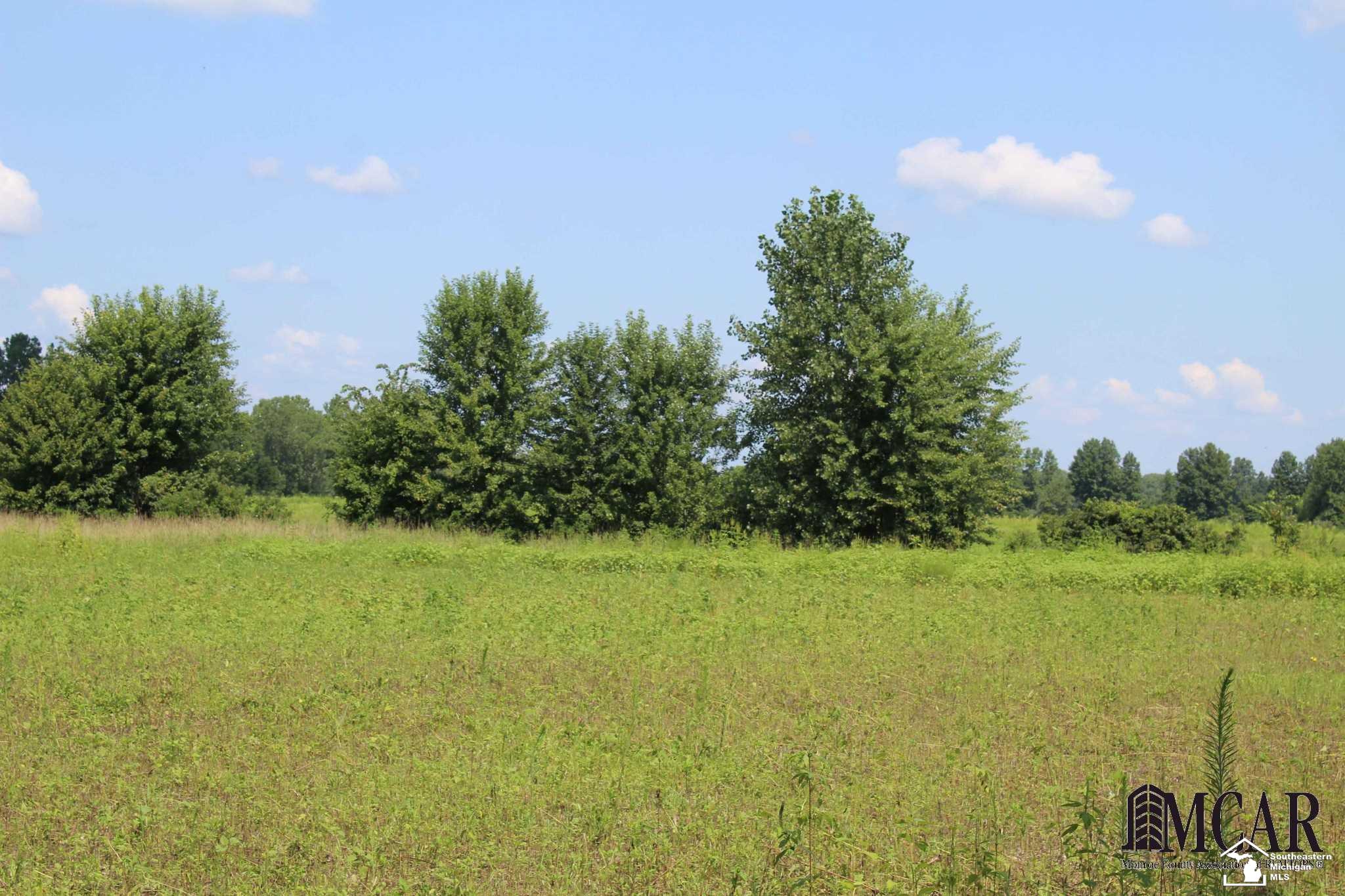 Lulu Road, Unit PARCEL 3 Petersburg, MI 49270 - Photo 2 of 8