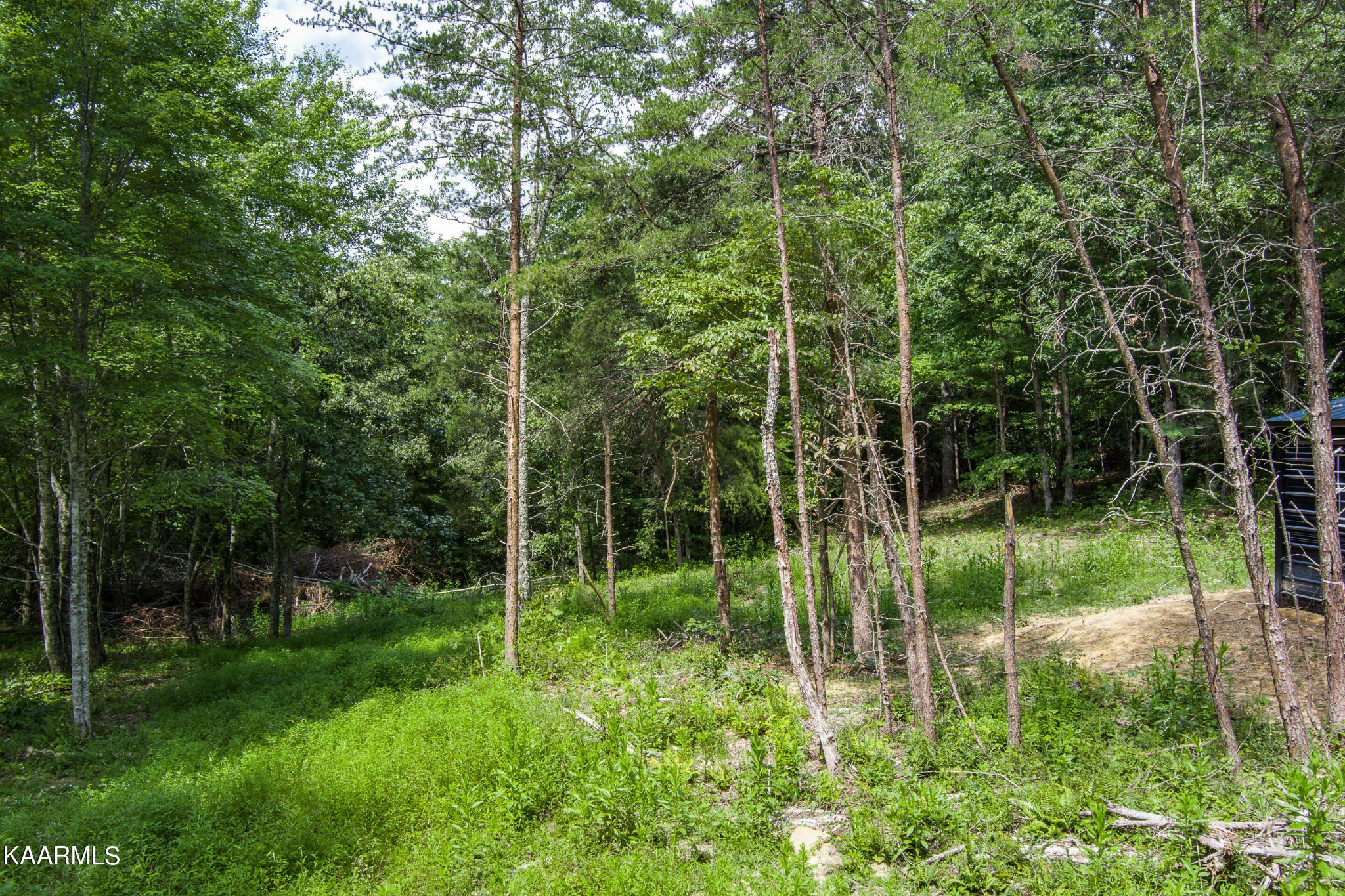 462 Nydeck Road Robbins, TN 37852 - Photo 14 of 14 Gallery Image 14