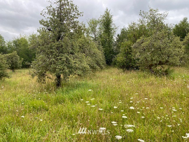 2 Hinkley Road Toledo, WA 98591 - Photo 1 of 13
