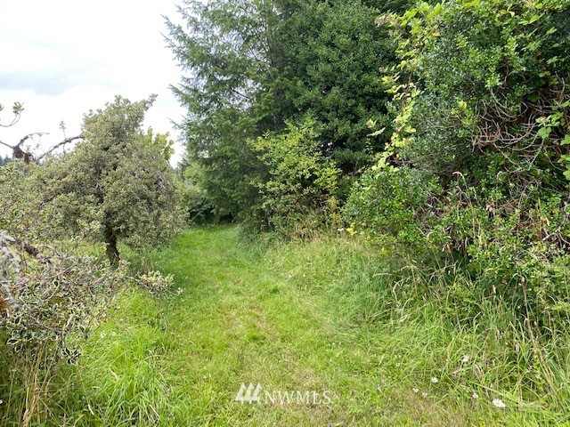 2 Hinkley Road Toledo, WA 98591 - Photo 2 of 13
