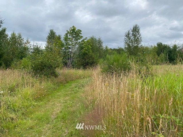 2 Hinkley Road Toledo, WA 98591 - Photo 11 of 13