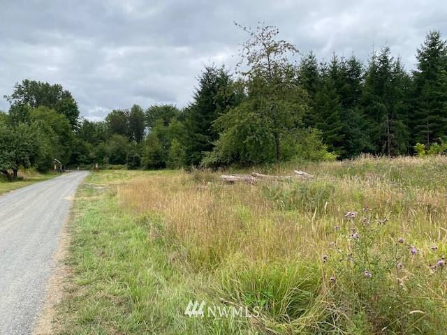 2 Hinkley Road Toledo, WA 98591 - Photo 12 of 13