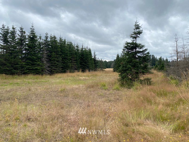 2 Hinkley Road Toledo, WA 98591 - Photo 8 of 13