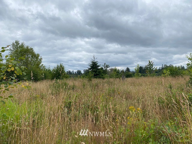 2 Hinkley Road Toledo, WA 98591 - Photo 10 of 13