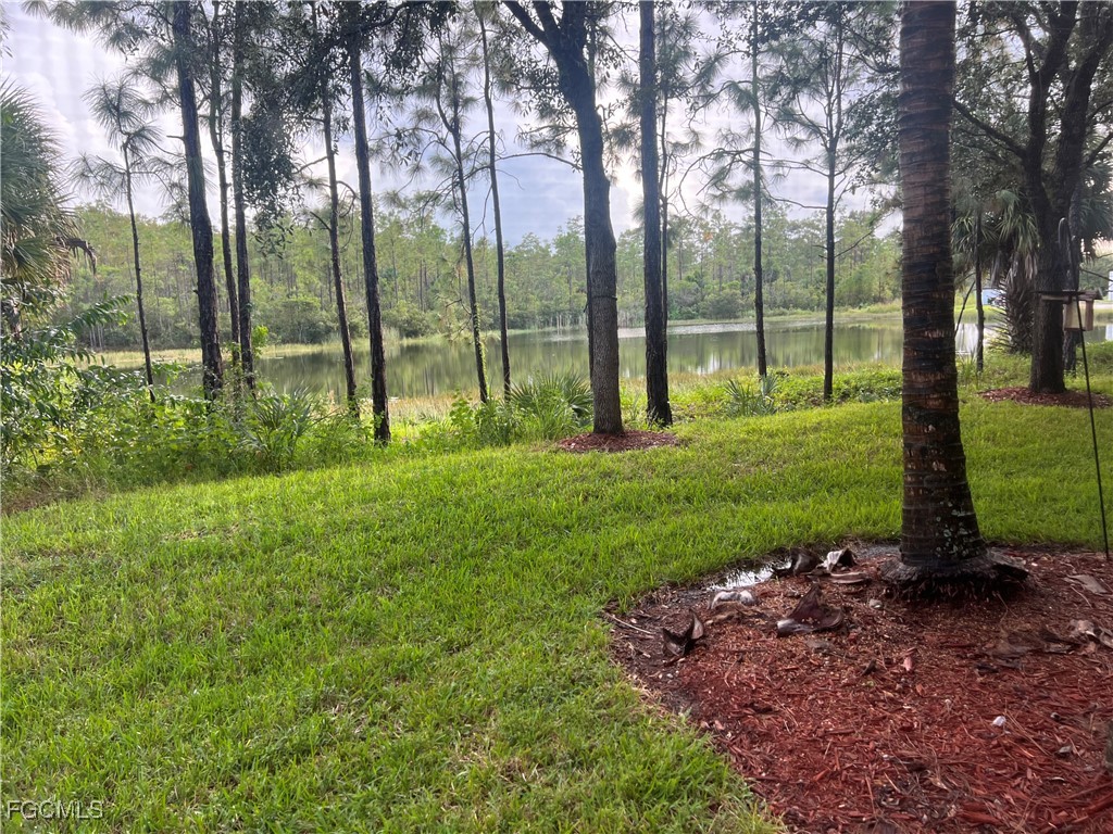 10132 Via Colomba Circle Fort Myers, FL 33966 - Photo 13 of 15 a view of a backyard with garden