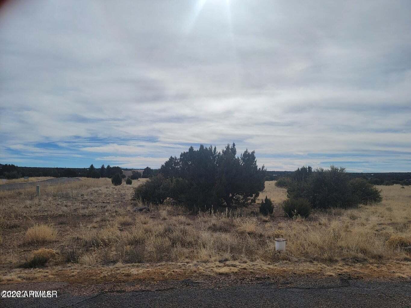 1961 Creekside Circle, Unit 74 Show Low, AZ 85901 - Photo 1 of 1 a view of a dry yard with wooden fence