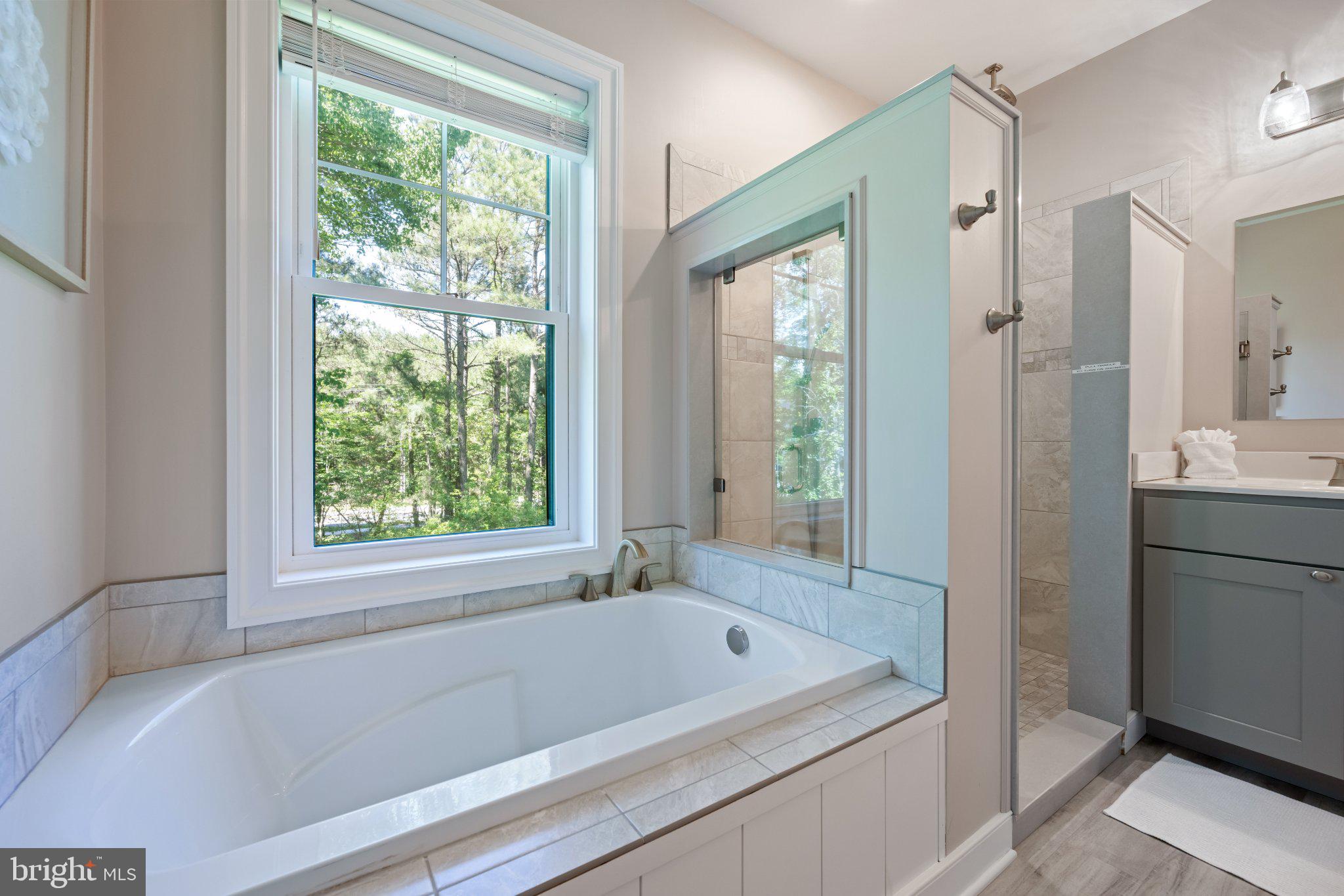 402 Salt Pond Road Bethany Beach, DE 19930 - Photo 28 of 55 Serene bathroom with nature views.