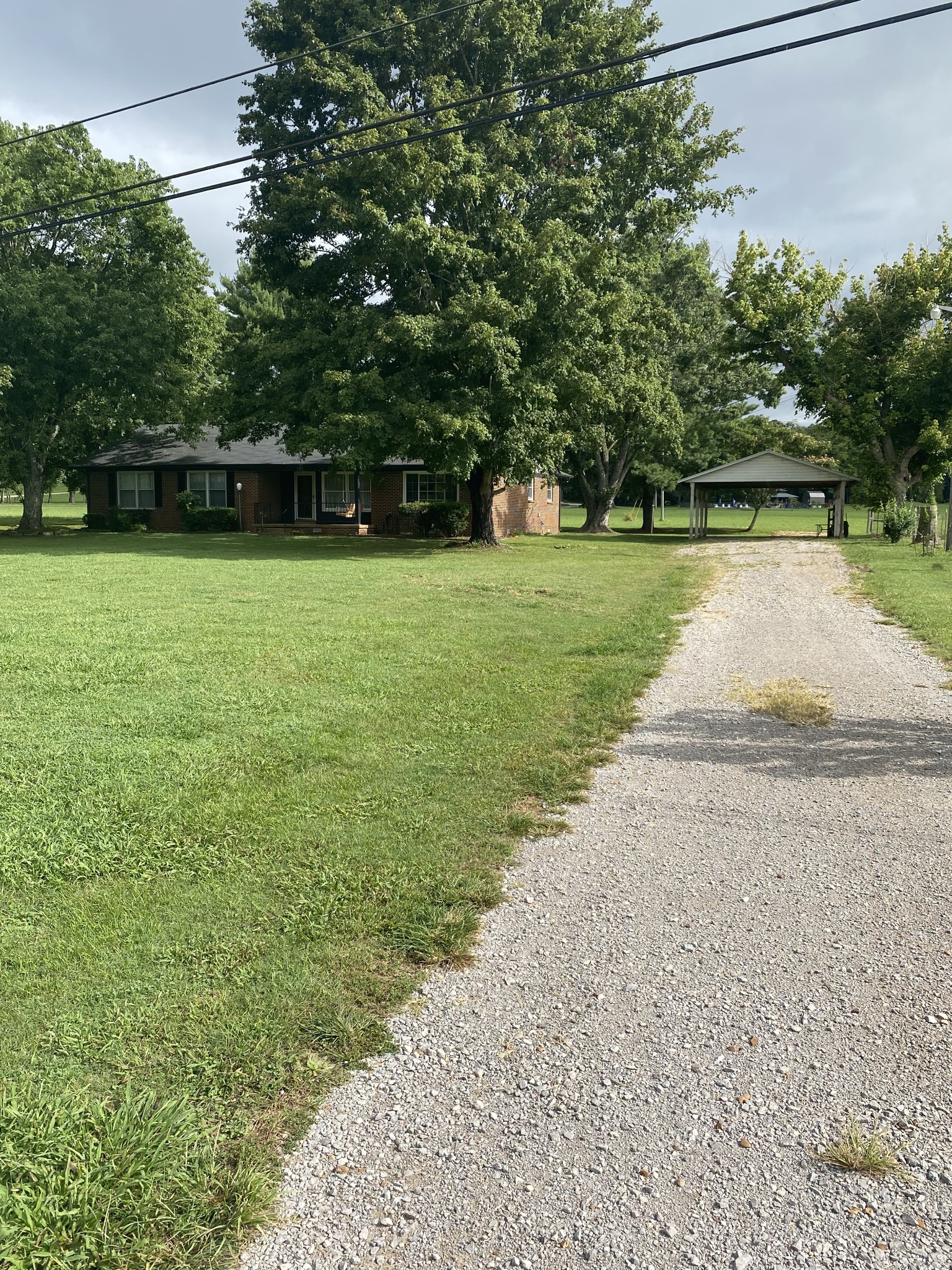 8294 Patterson Road College Grove, TN 37046 - Photo 4 of 39