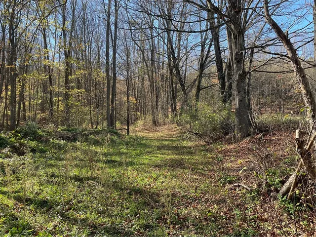 $279,000 | 823 County Highway, Schenevus, NY 12155