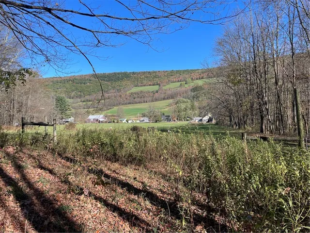 $279,000 | 823 County Highway, Schenevus, NY 12155