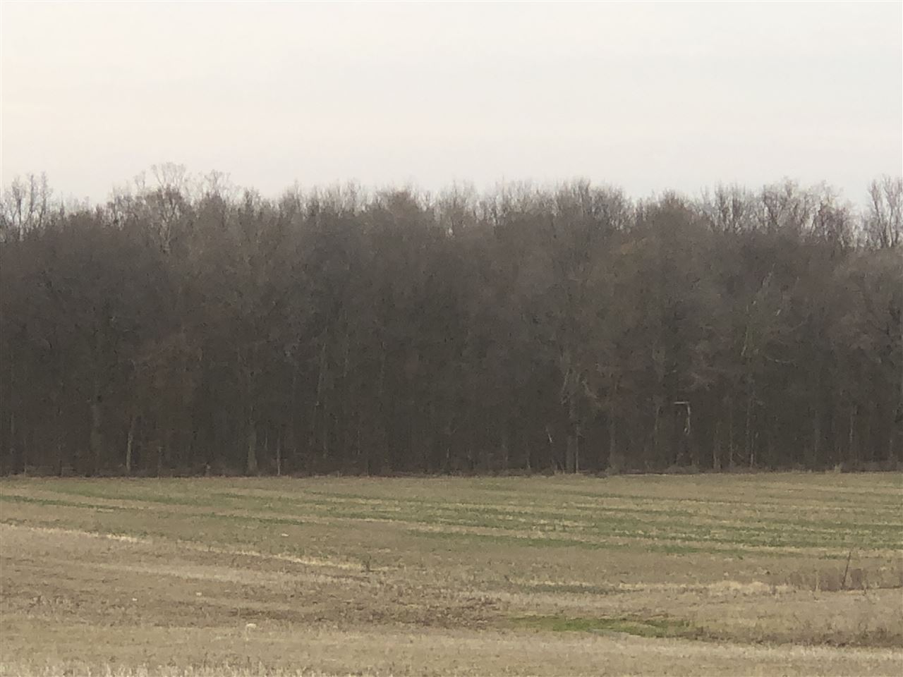 Lot A Goodall Road Durand, MI 48429 - Photo 2 of 5