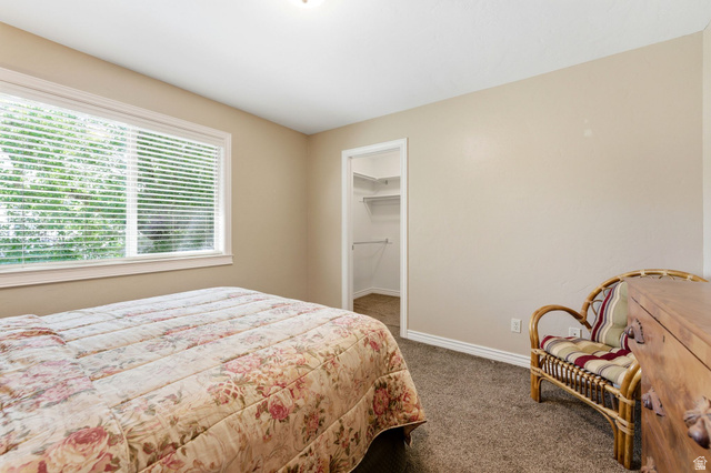 7235 Viansa Court Midvale, UT 84047 - Photo 13 of 43 Bedroom with dark colored carpet and a walk in closet