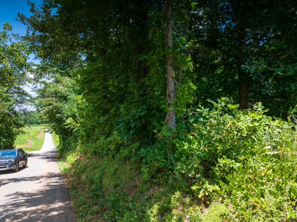 0 McGhee Road Greenback, TN 37742 - Photo 36 of 40