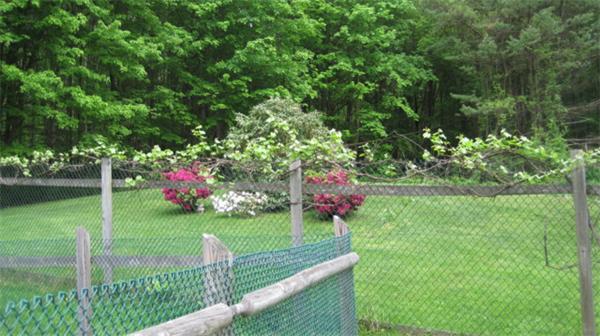 75 Amherst Road Leverett, MA 01054 - Photo 16 of 22 a garden view
