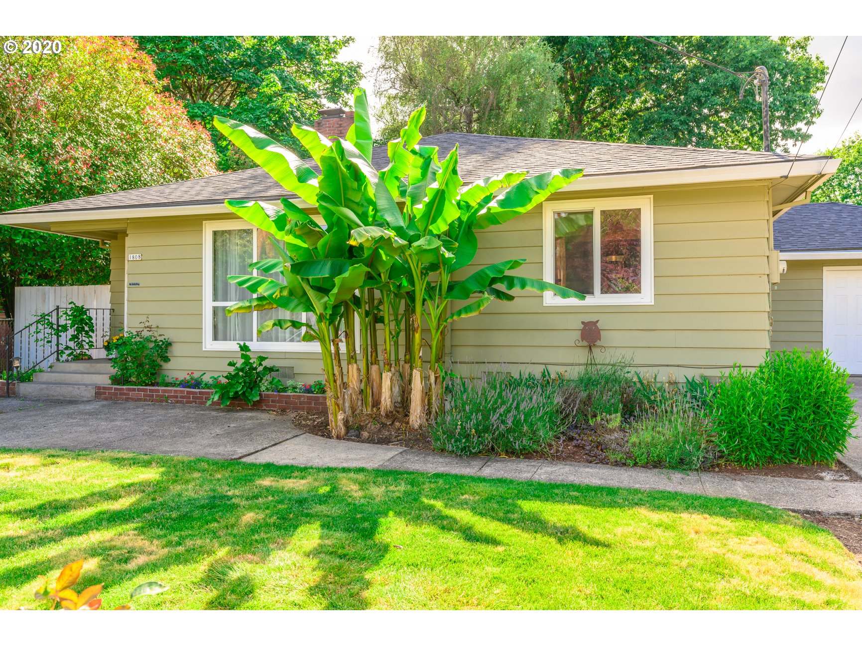 1808 Filbert Street Forest Grove, OR 97116 - Photo 2 of 32 Gallery Image 2