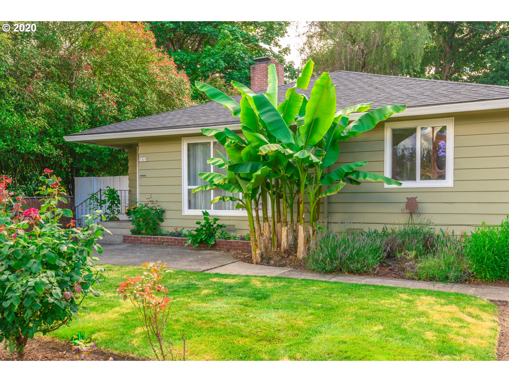 1808 Filbert Street Forest Grove, OR 97116 - Photo 4 of 32 Gallery Image 4