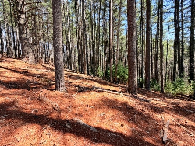 Lot 24 New Riv Overlook West Jefferson, NC 28694 - Photo 2 of 12 a view of a backyard of the house
