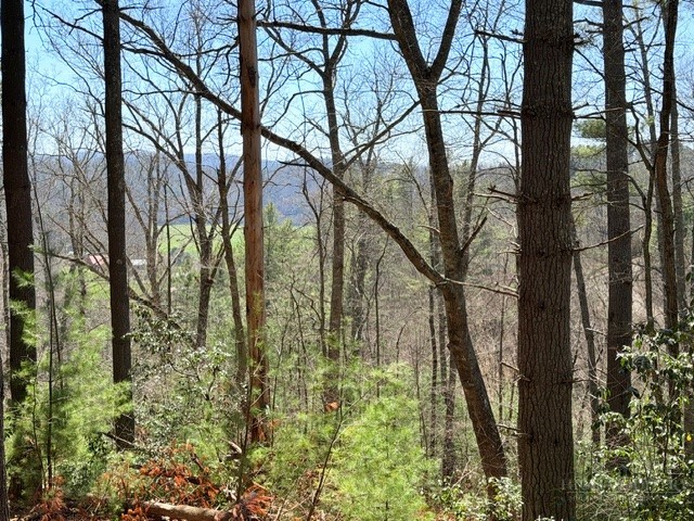 Lot 24 New Riv Overlook West Jefferson, NC 28694 - Photo 5 of 12 a view of yard
