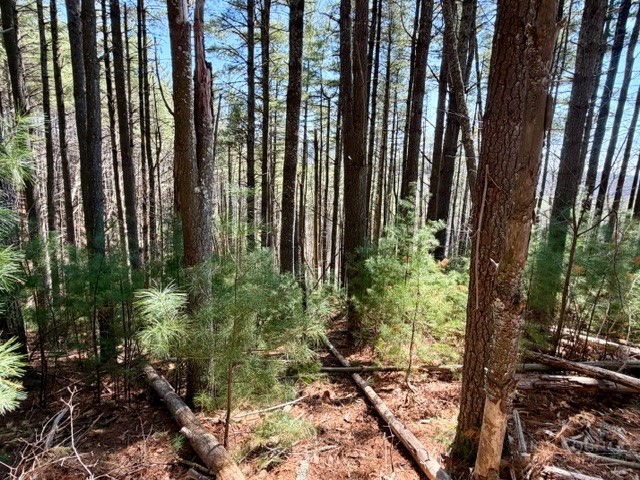 Lot 24 New Riv Overlook West Jefferson, NC 28694 - Photo 7 of 12