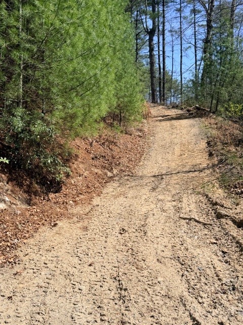 Lot 24 New Riv Overlook West Jefferson, NC 28694 - Photo 8 of 12 a view of a yard with a tree