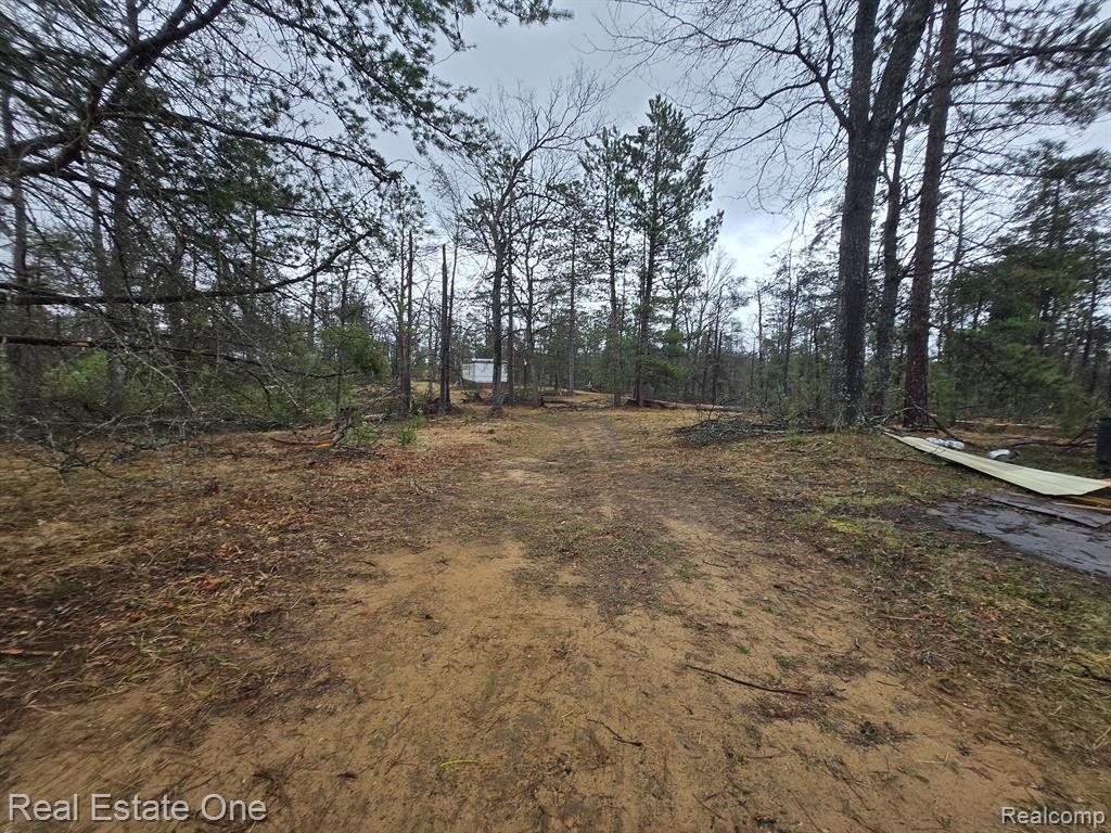 3774 South Stephan Bridge Road Grayling, MI 49738 - Photo 19 of 26 Gallery Image 19