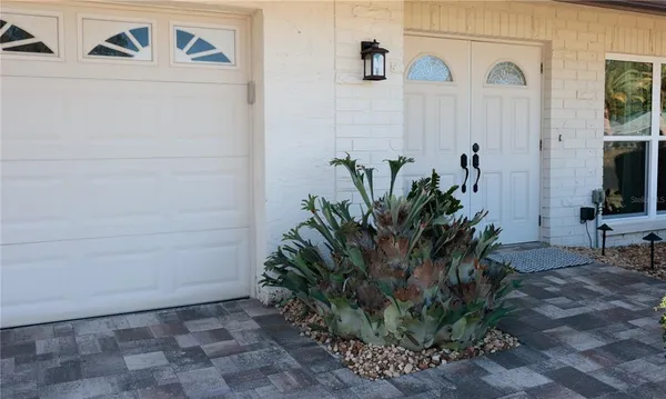 a potted plant sitting in front of a door