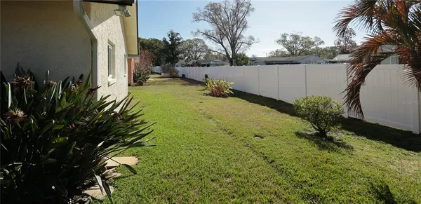 a view of a backyard