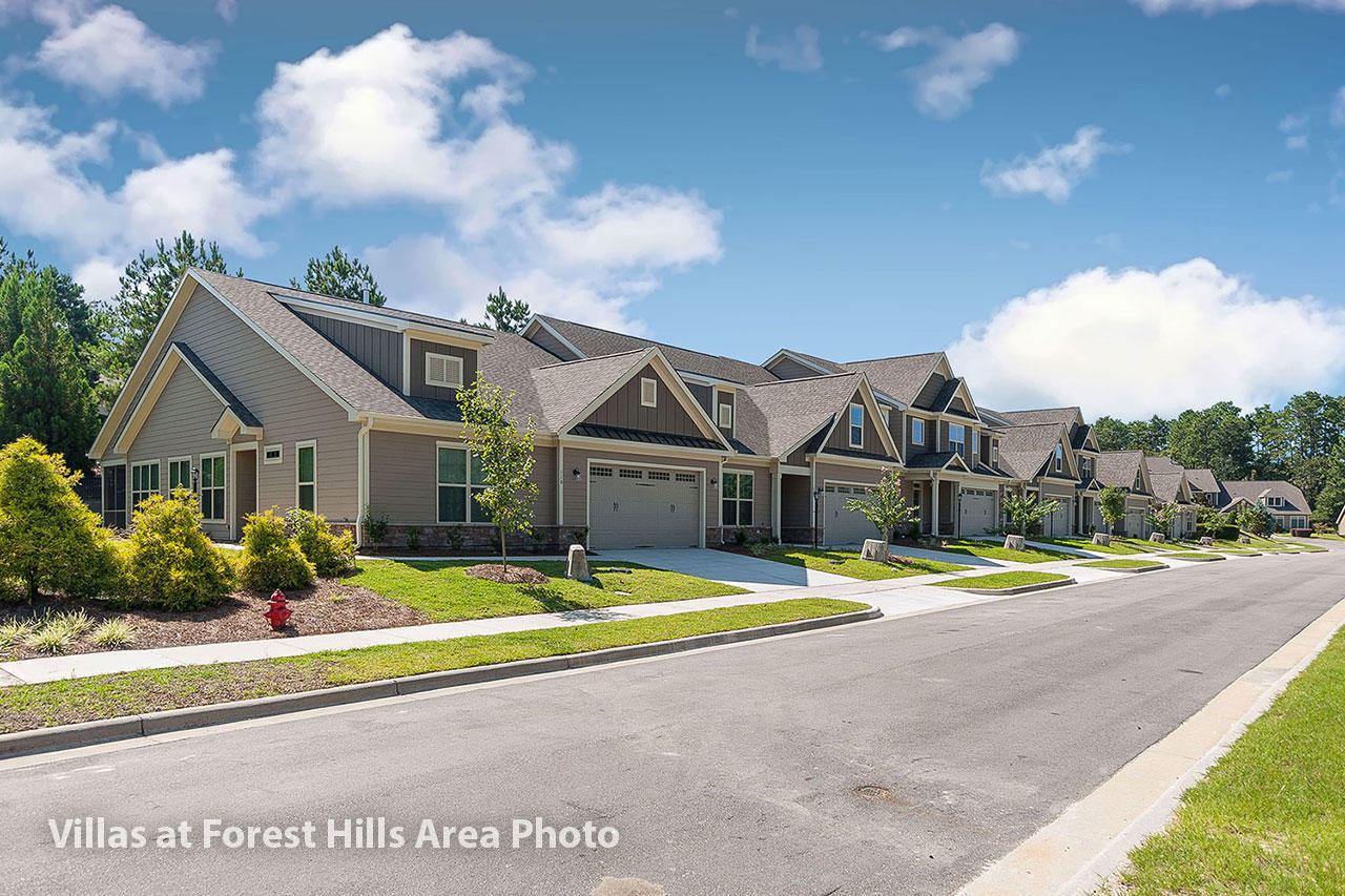 45 Winged Foot Road Pinehurst, NC 28374 - Photo 4 of 14 632241-03