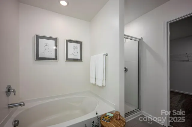 a bathroom with a bathtub and a shower