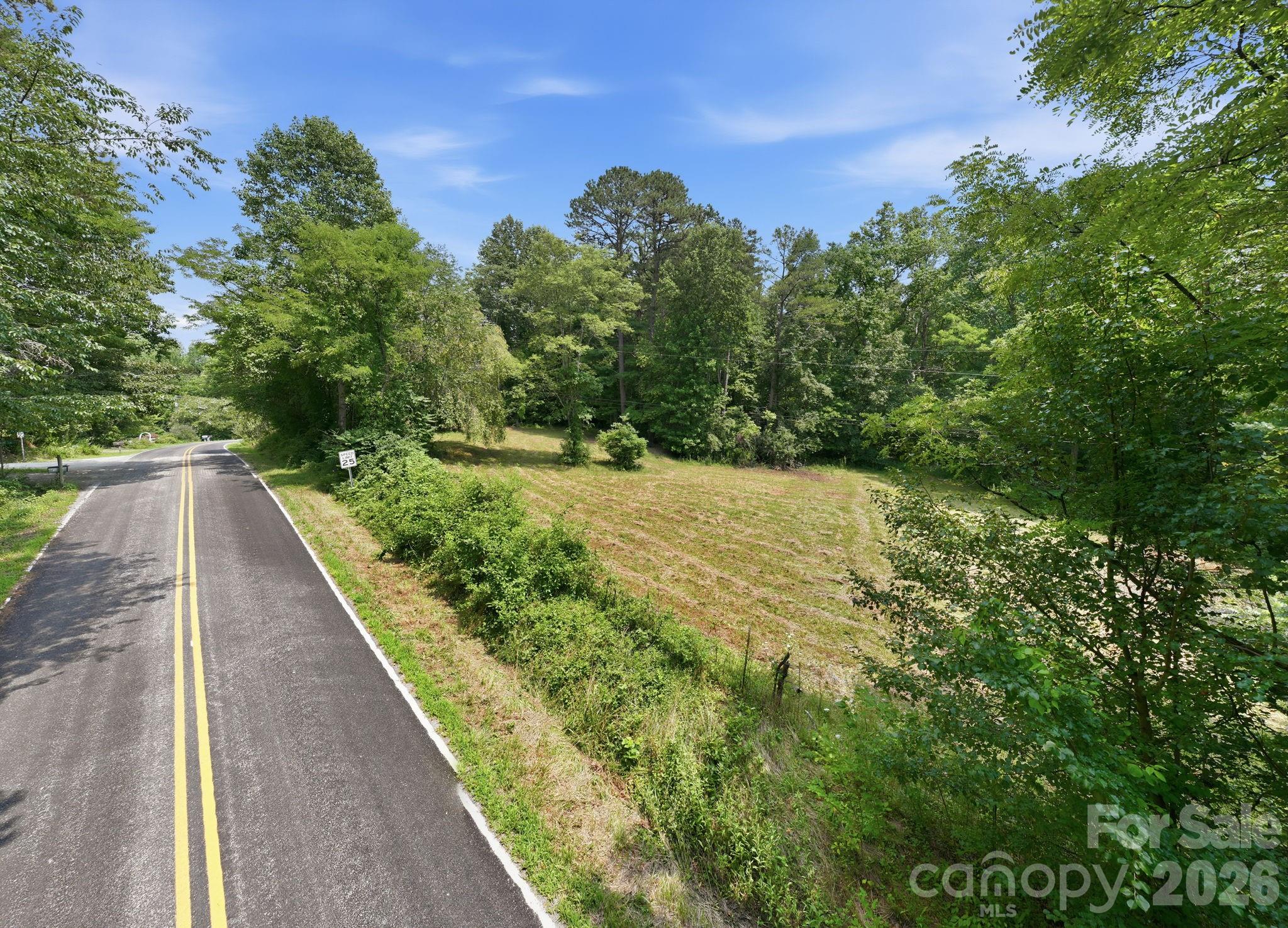 Lot 1 Chestnut Stump Road Hendersonville, NC 28792 - Photo 5 of 13