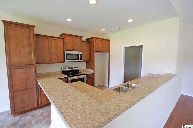 346 Palm Terrace Loop Conway, SC 29526 - Photo 3 of 9 Gallery Image 3