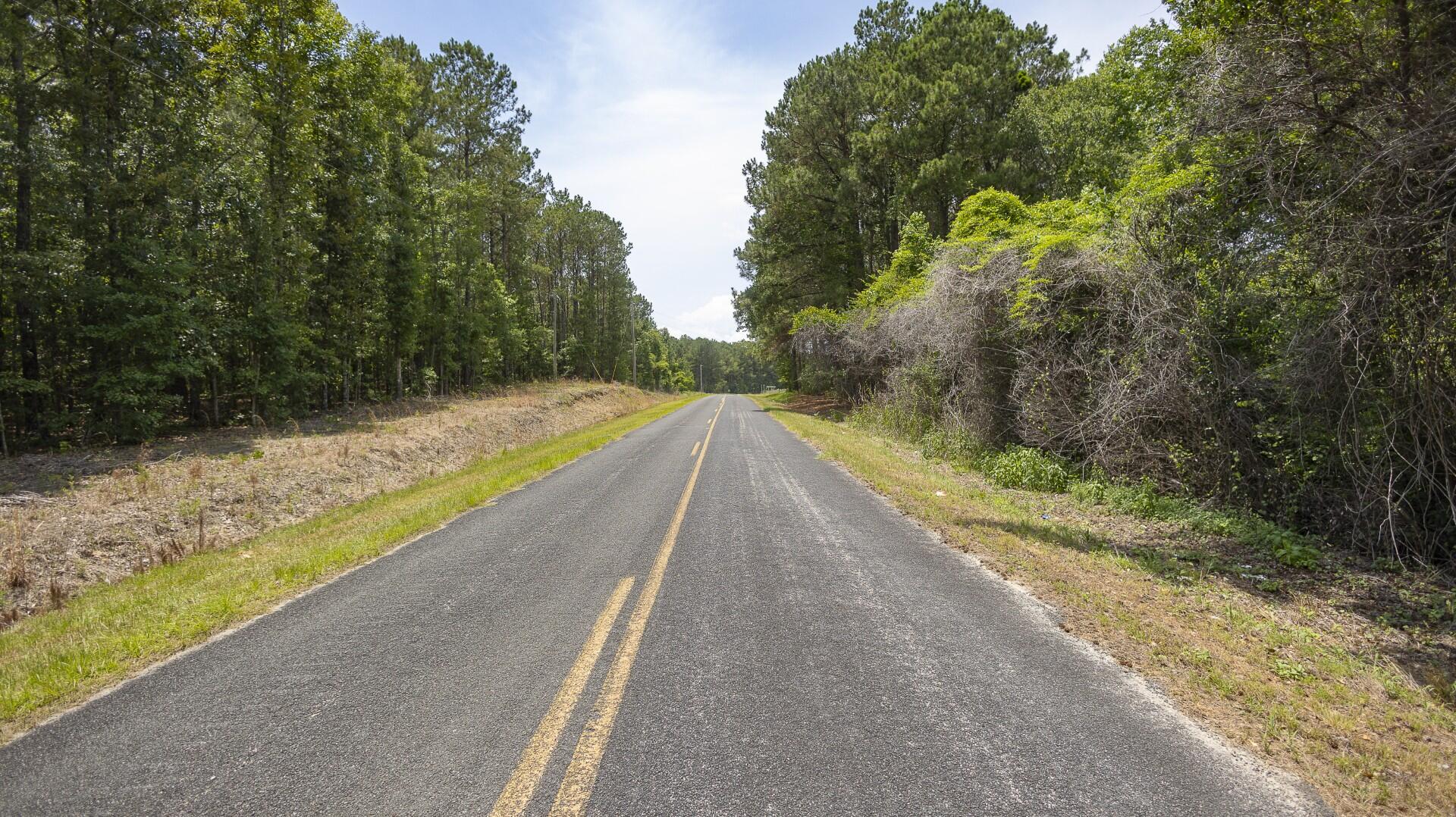 2 Joseph Lemon And Dingle Road Manning, SC 29102 - Photo 12 of 44