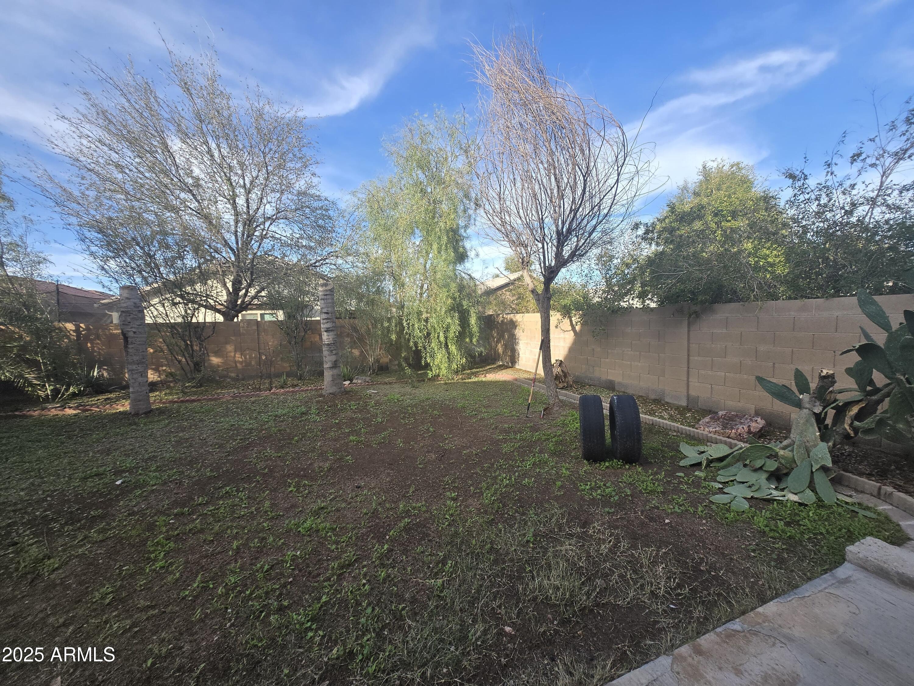 8814 West Magnolia Street Tolleson, AZ 85353 - Photo 19 of 19 a view of a backyard with large trees