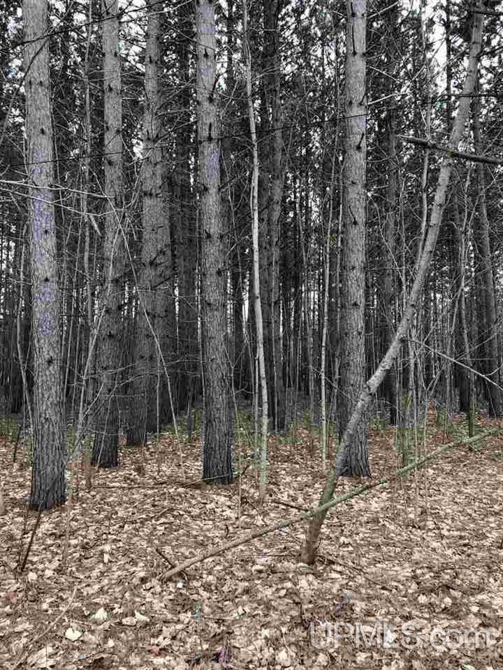 424n Peterson Road Cooks, MI 49817 - Photo 5 of 17