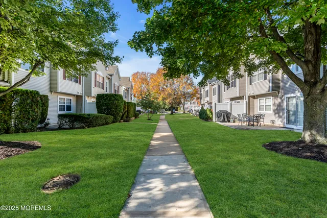 a view of a yard with plants and trees
