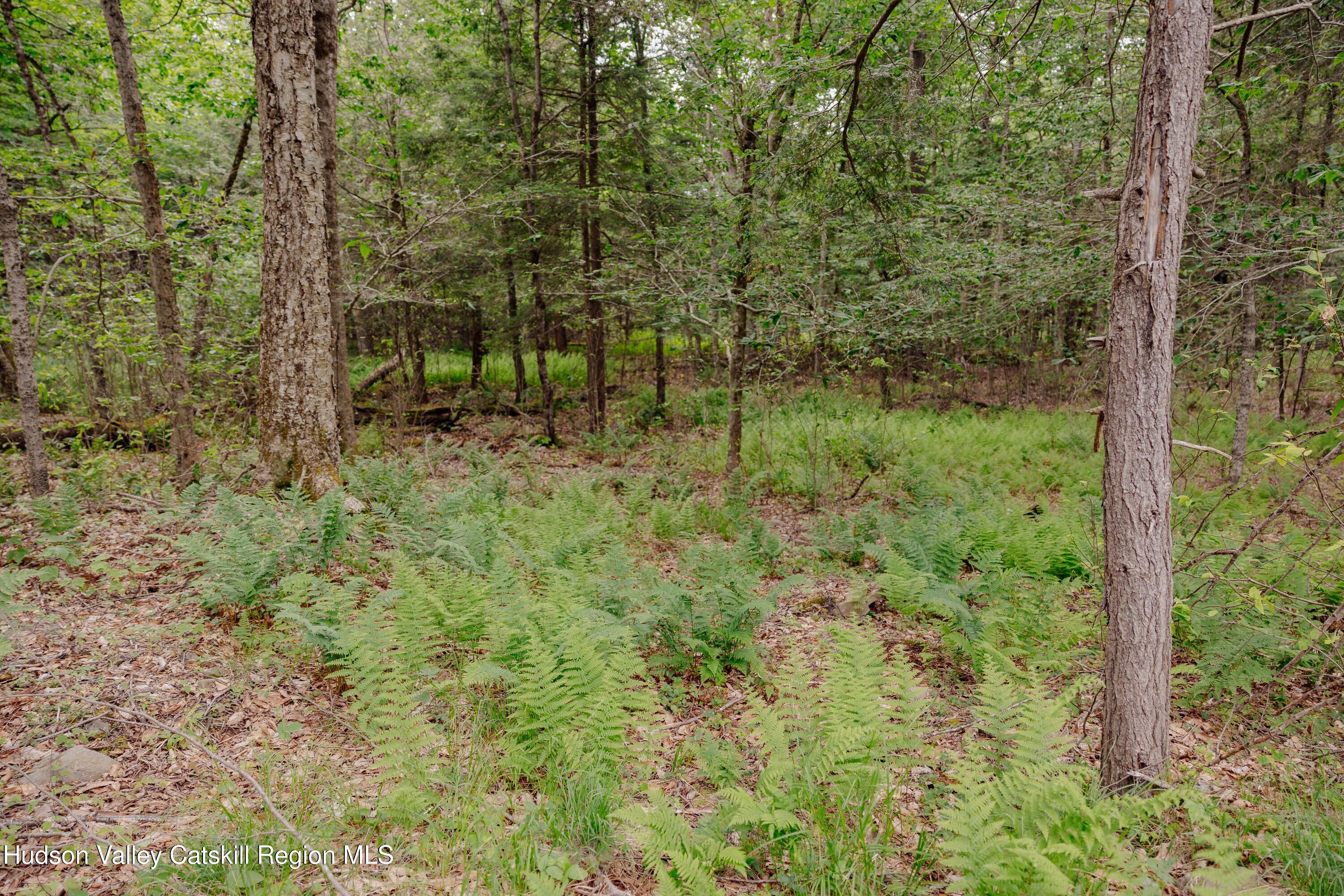 Tbd Church Lake Road Livingston Manor, NY 12758 - Photo 17 of 33 shandelee-woods-thatupstateagent-1-17
