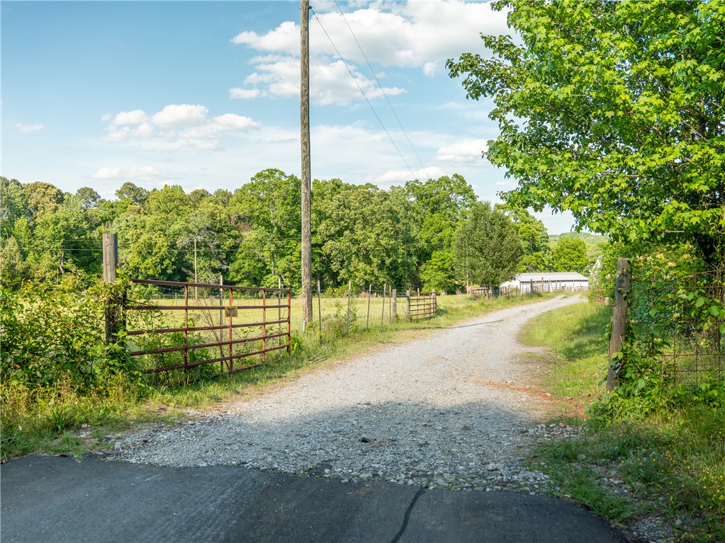 This scenic rural driveway leads to a secluded property with lush greenery and a distant outbuilding.