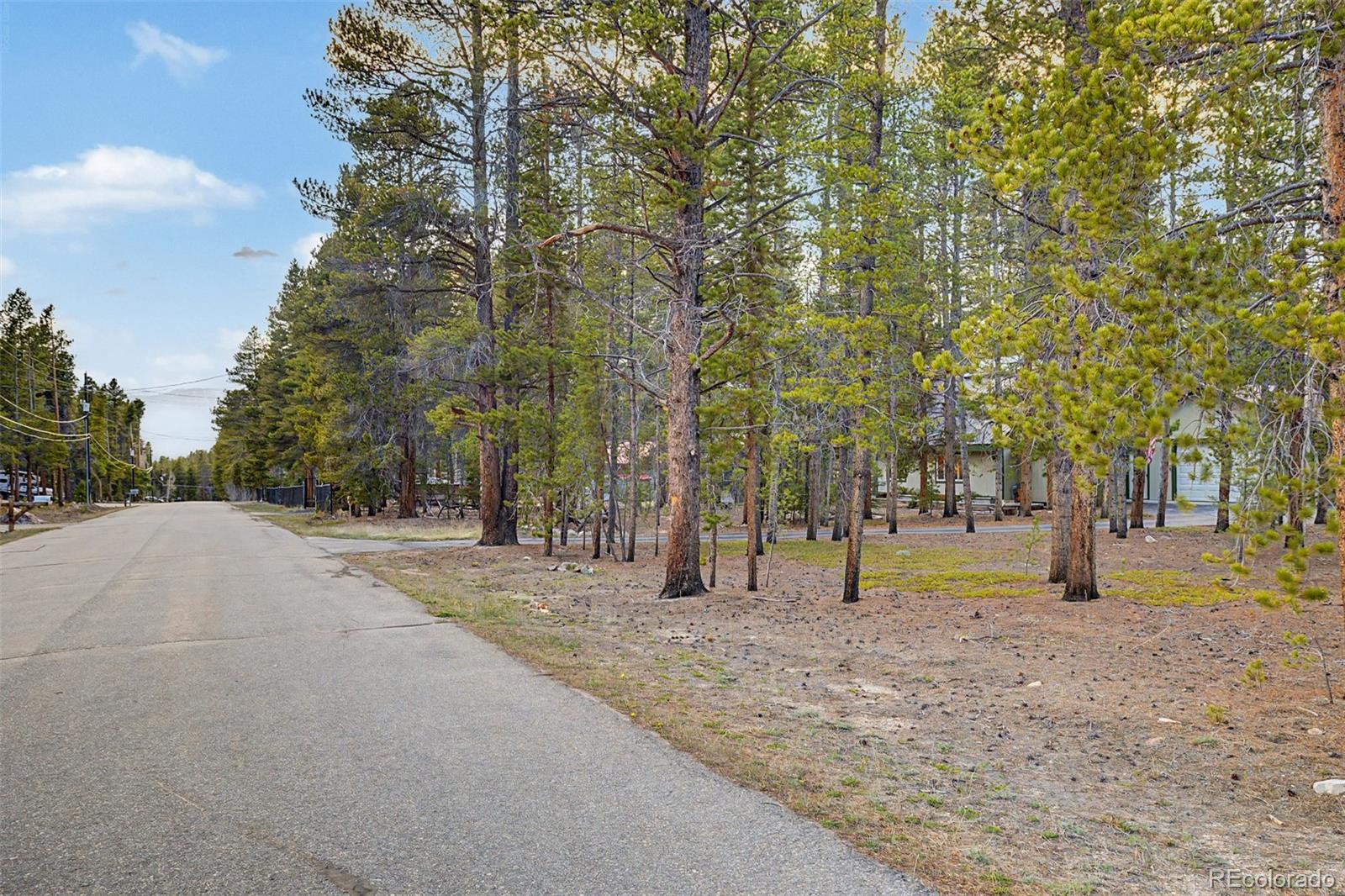 55 Rafferty Drive Leadville, CO 80461 - Photo 36 of 50