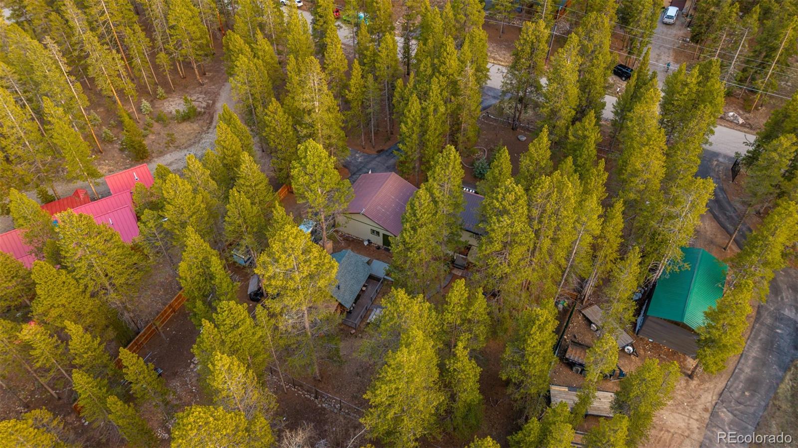 55 Rafferty Drive Leadville, CO 80461 - Photo 38 of 50