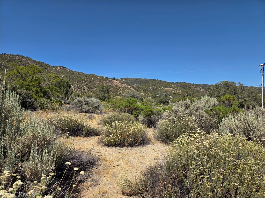 37310 Bohlen Road Anza, CA 92539 - Photo 5 of 11
