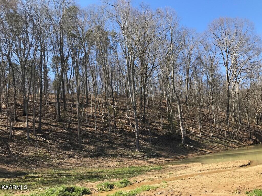 Hill Road Rutledge, TN 37861 - Photo 5 of 15 606231_4
