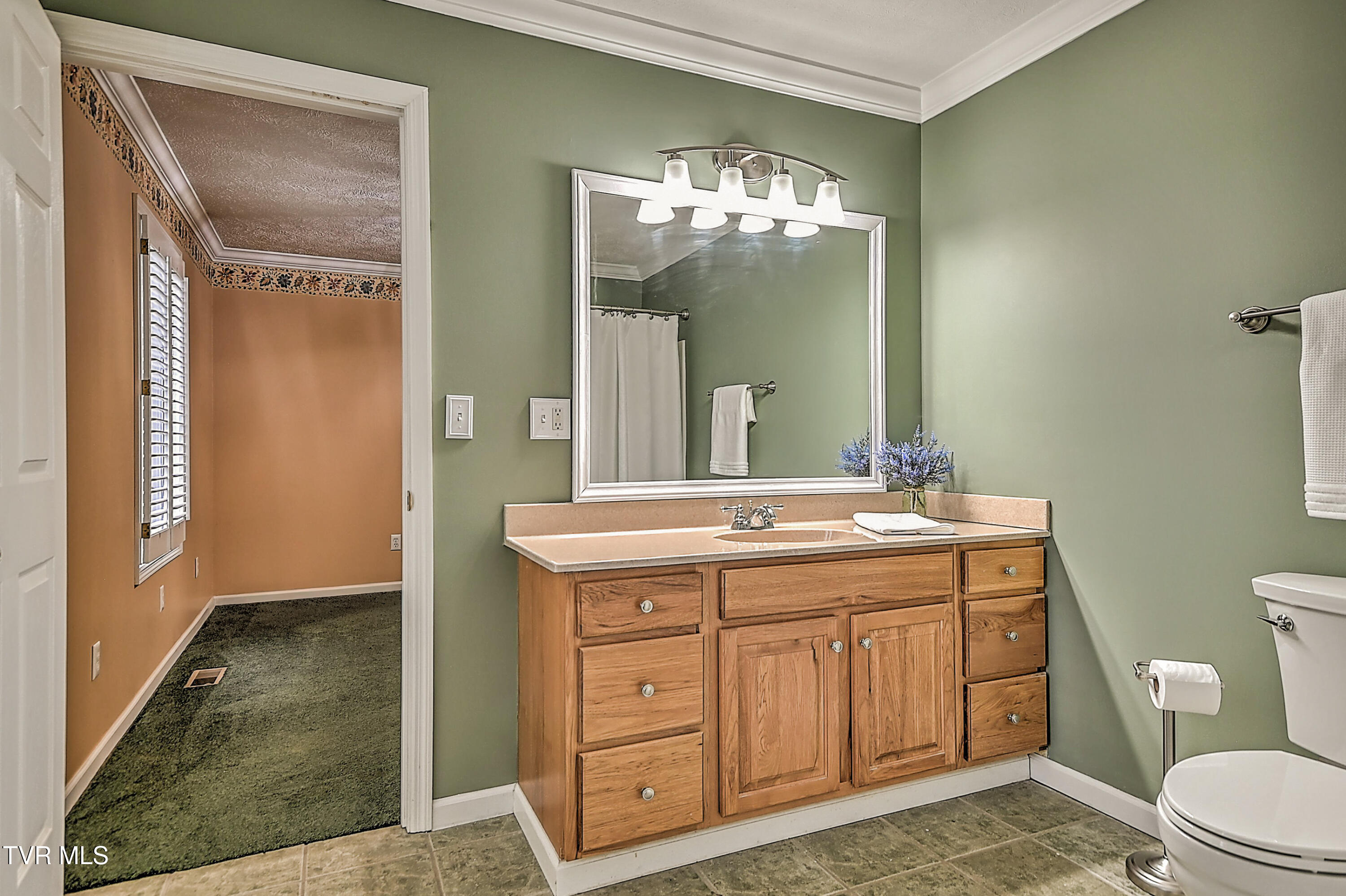 311 Big Springs Road Elizabethton, TN 37643 - Photo 54 of 92 311 Big Springs MP-32